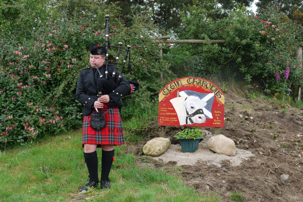 WCC Nagy-Britannia 2012 - DZ
